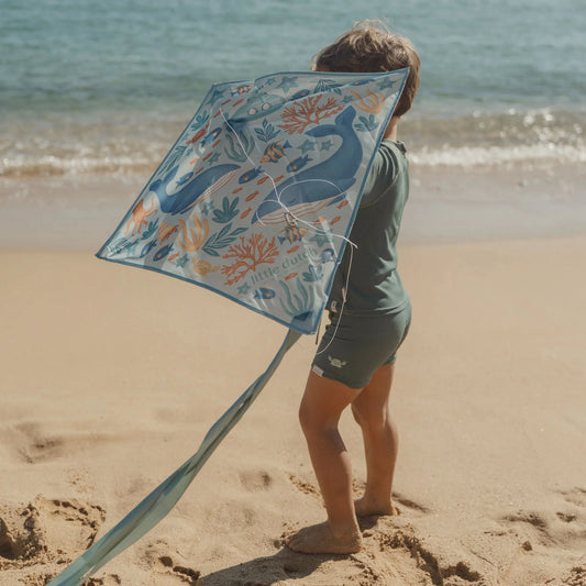 Little Dutch Kite - Ocean World
