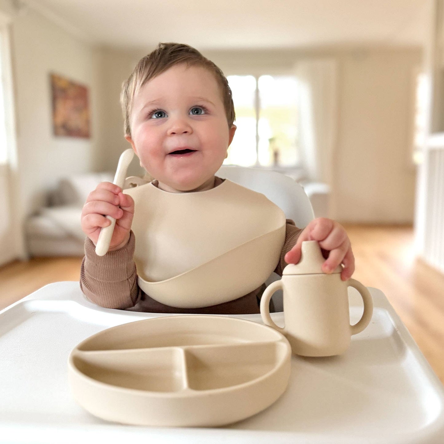 Plate Divided Silicone Sandshell