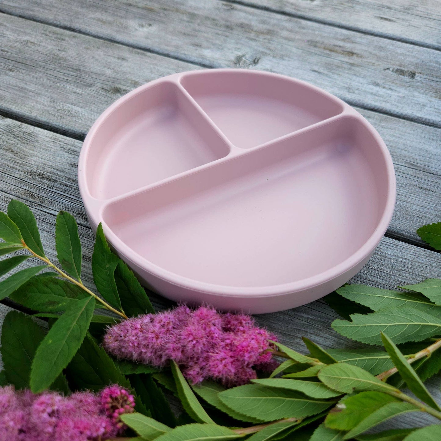 Plate Divided Silicone Pale Mauve