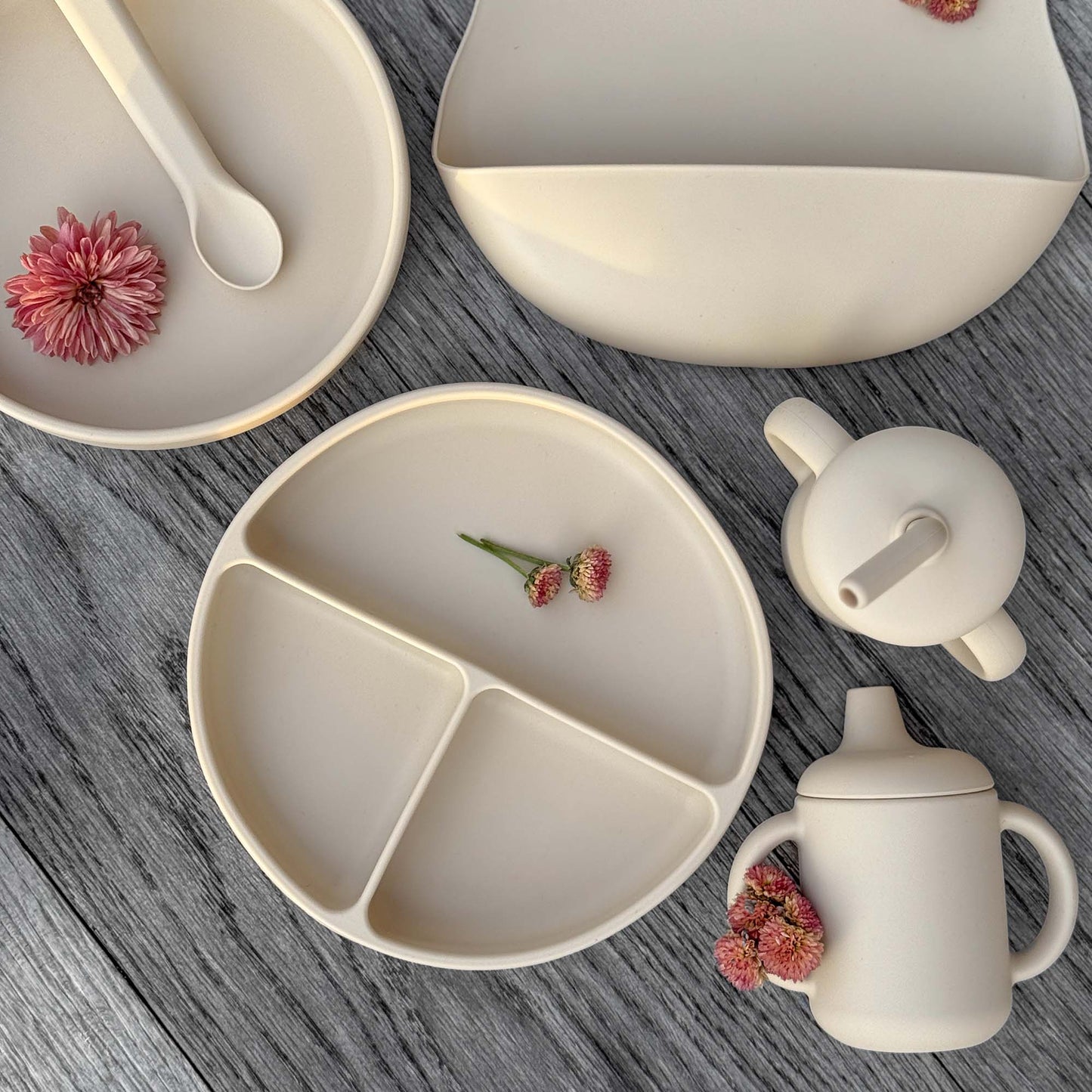 Plate Divided Silicone Sandshell