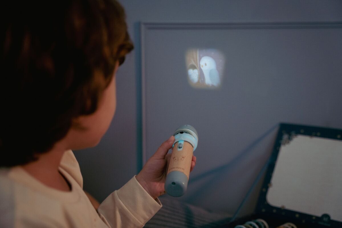 Little Dutch Stories Projector Torch ´Forest Friends´ FSC