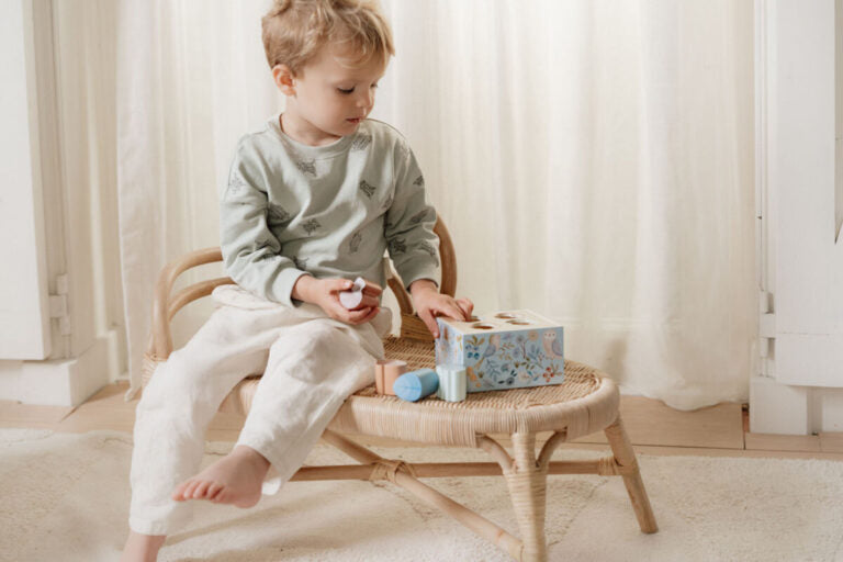 Little Dutch Shape Sorter ´Forest Friends´ FSC