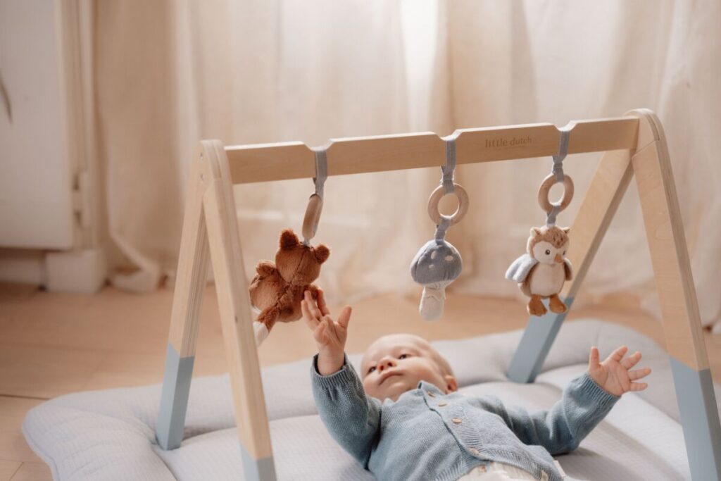 Little Dutch Babygym ´Forest Friends´ FSC