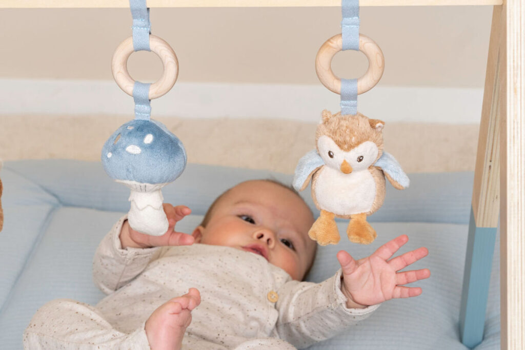 Little Dutch Babygym ´Forest Friends´ FSC