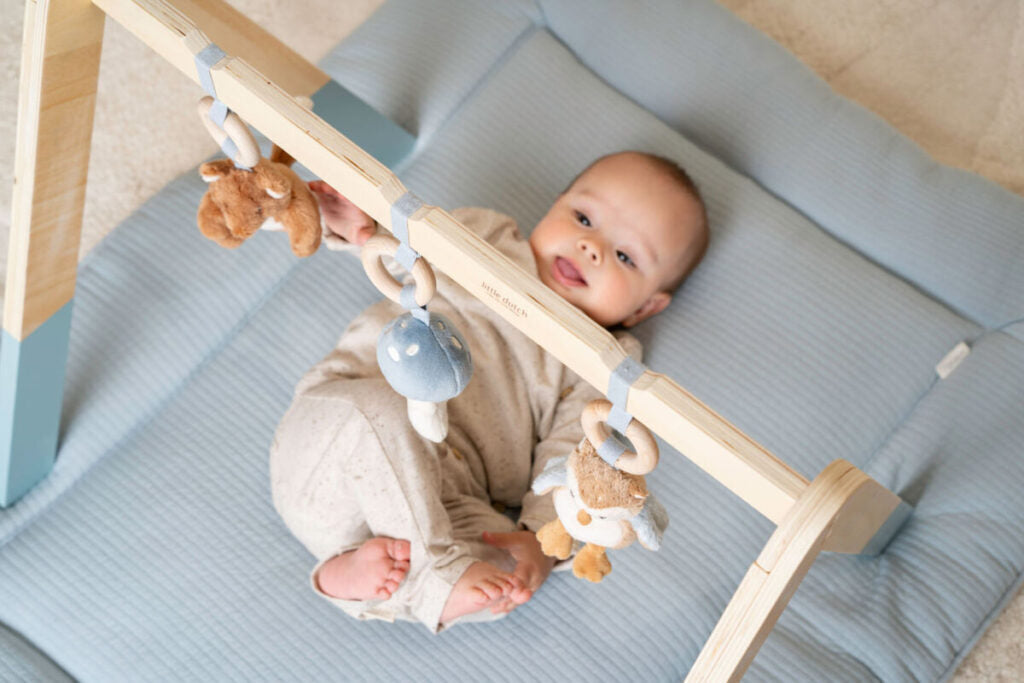 Little Dutch Babygym ´Forest Friends´ FSC