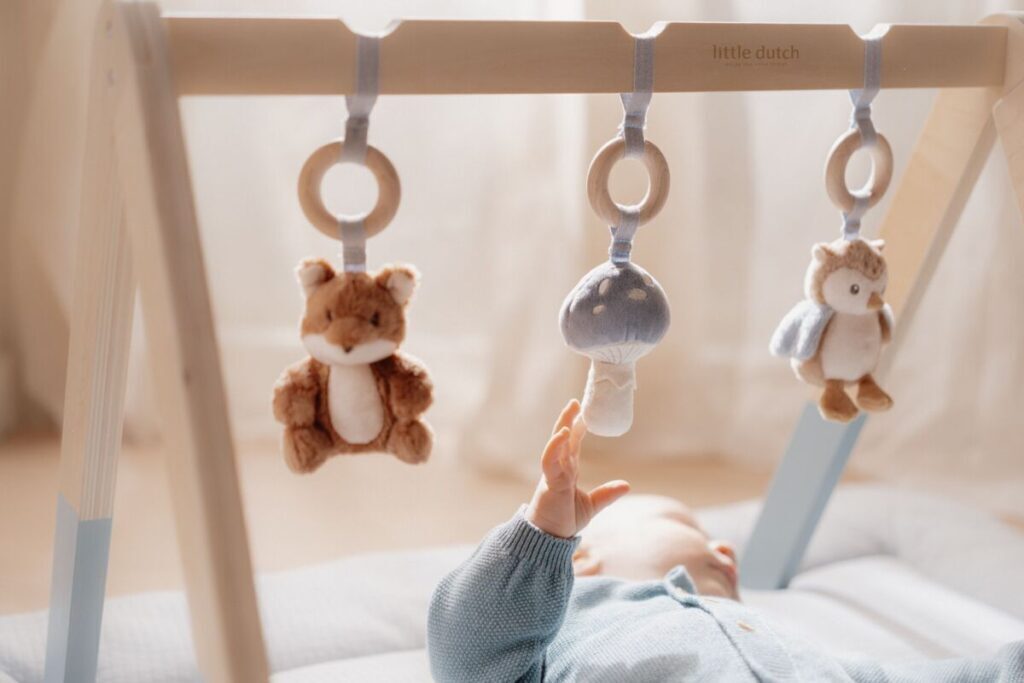 Little Dutch Babygym ´Forest Friends´ FSC