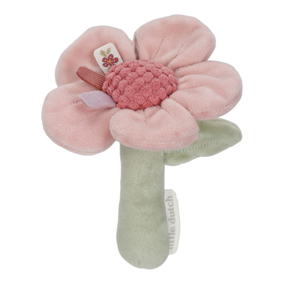 Rattle flower ´Fairy Garden