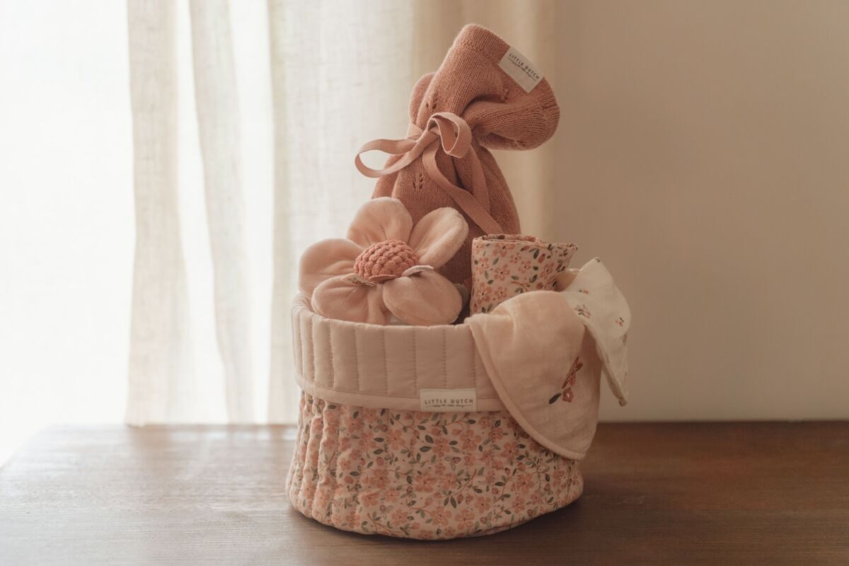 Rattle flower ´Fairy Garden