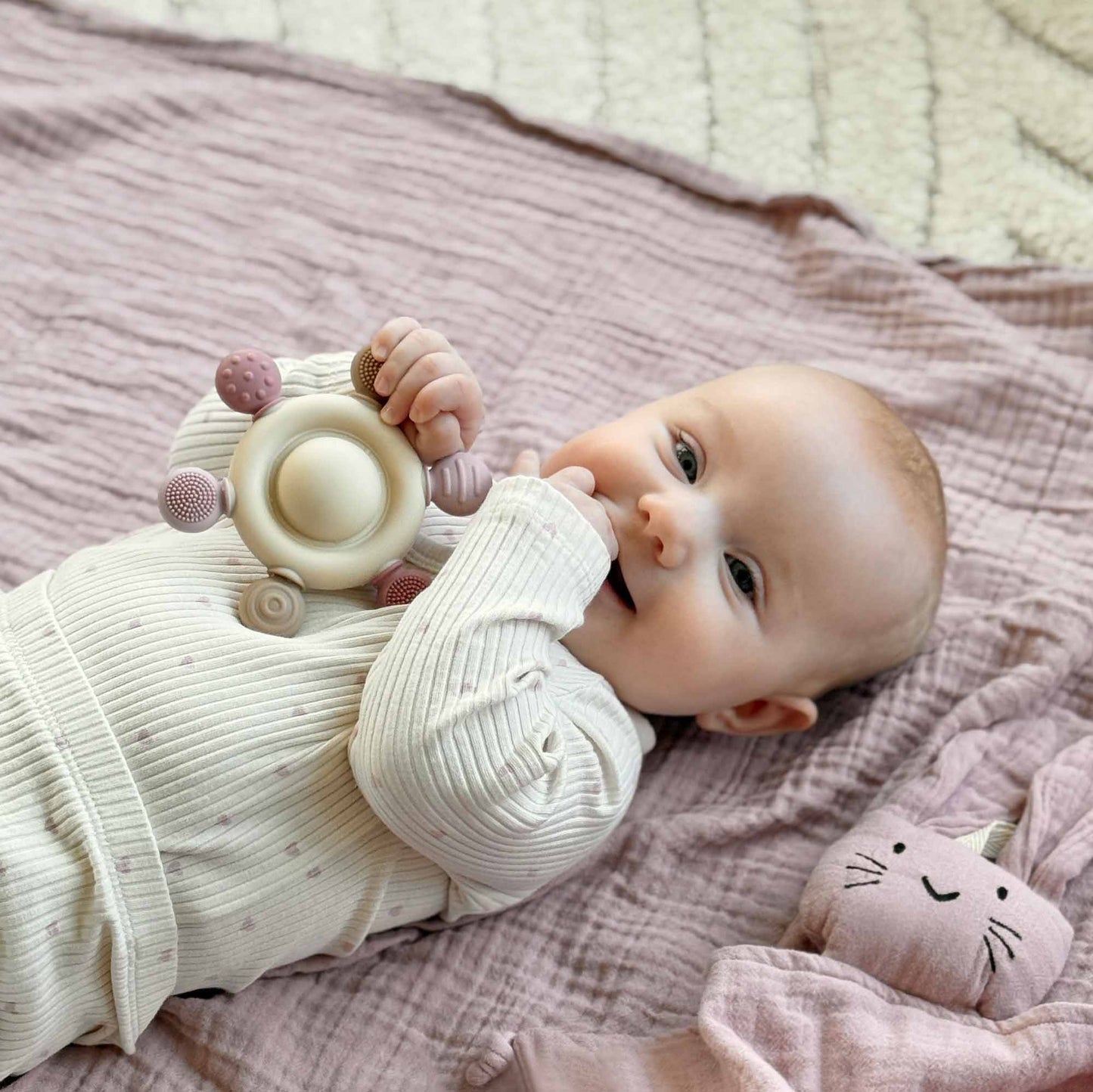 Baby Silicone Rattle & Teething Toy Carousel Rose
