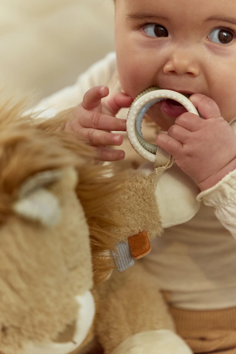 Little Dutch Activity Cuddle Lion ´Safari Friends´ GRS