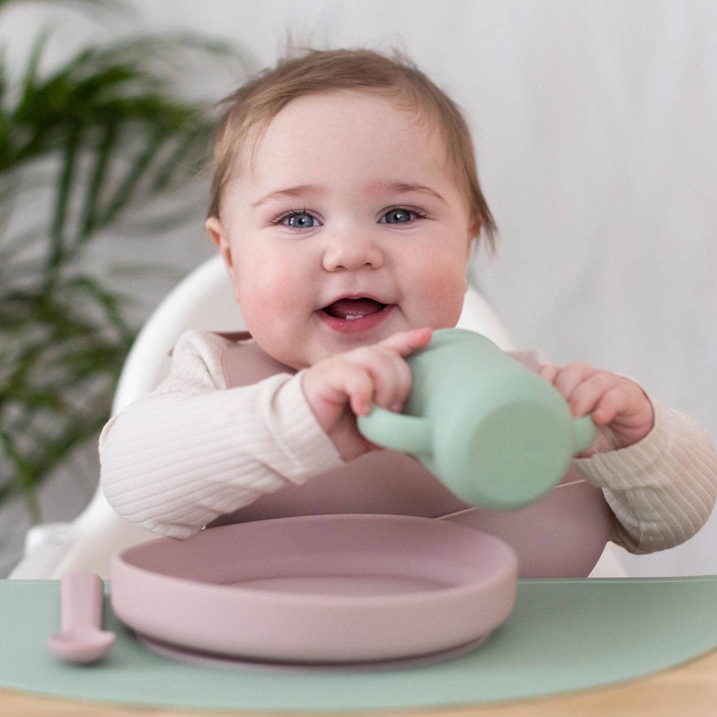 Plate and Spoon Silicone Pale Mauve