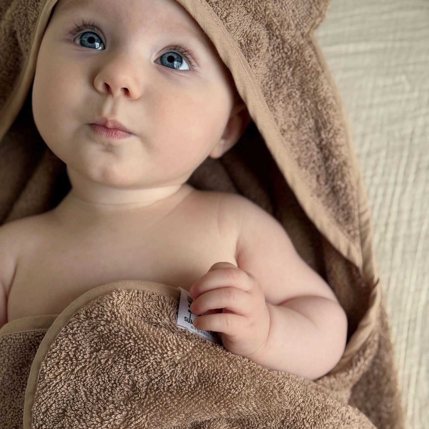Organic Hooded Baby Towel Rabbit Warm Taupe