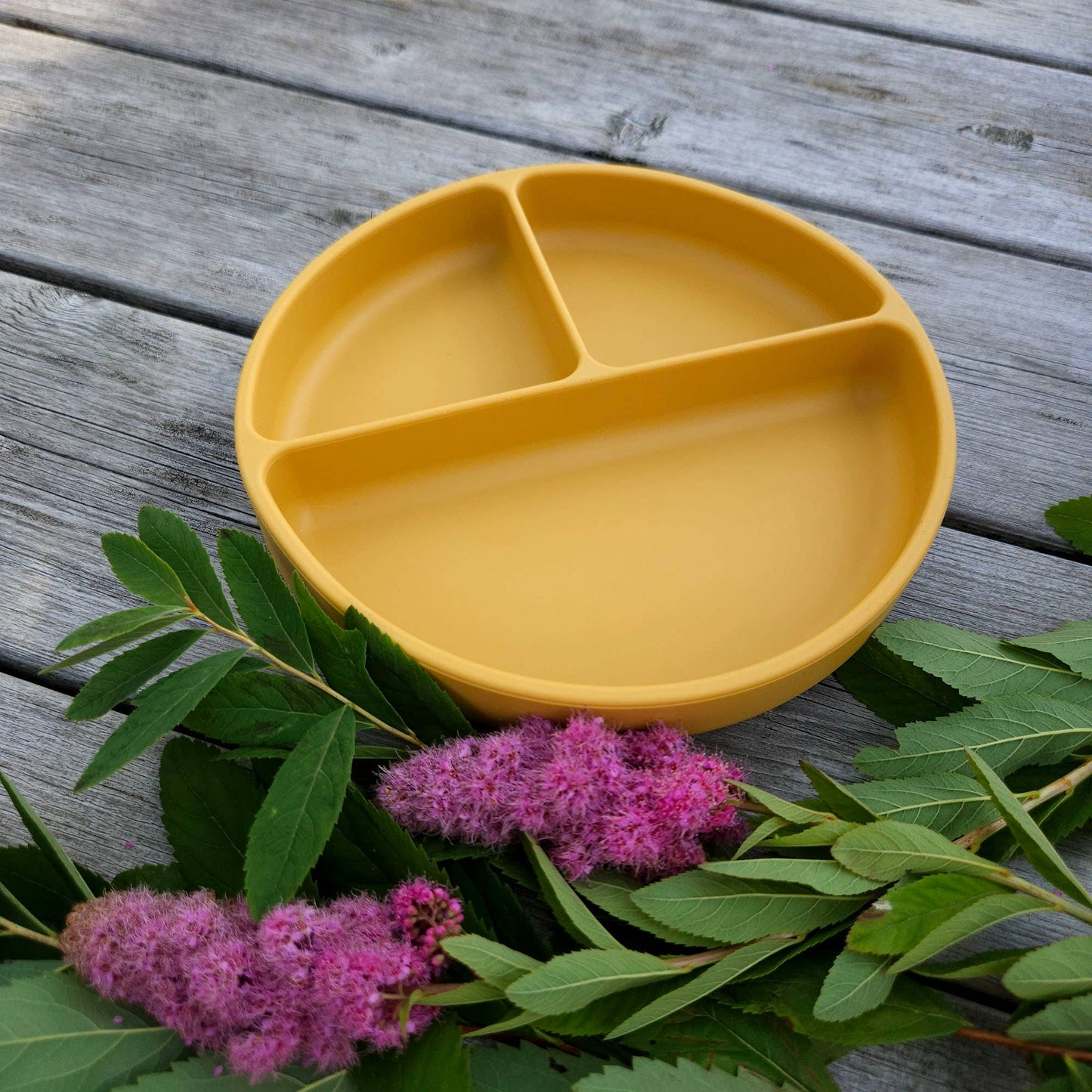 Plate Divided Silicone Ochre