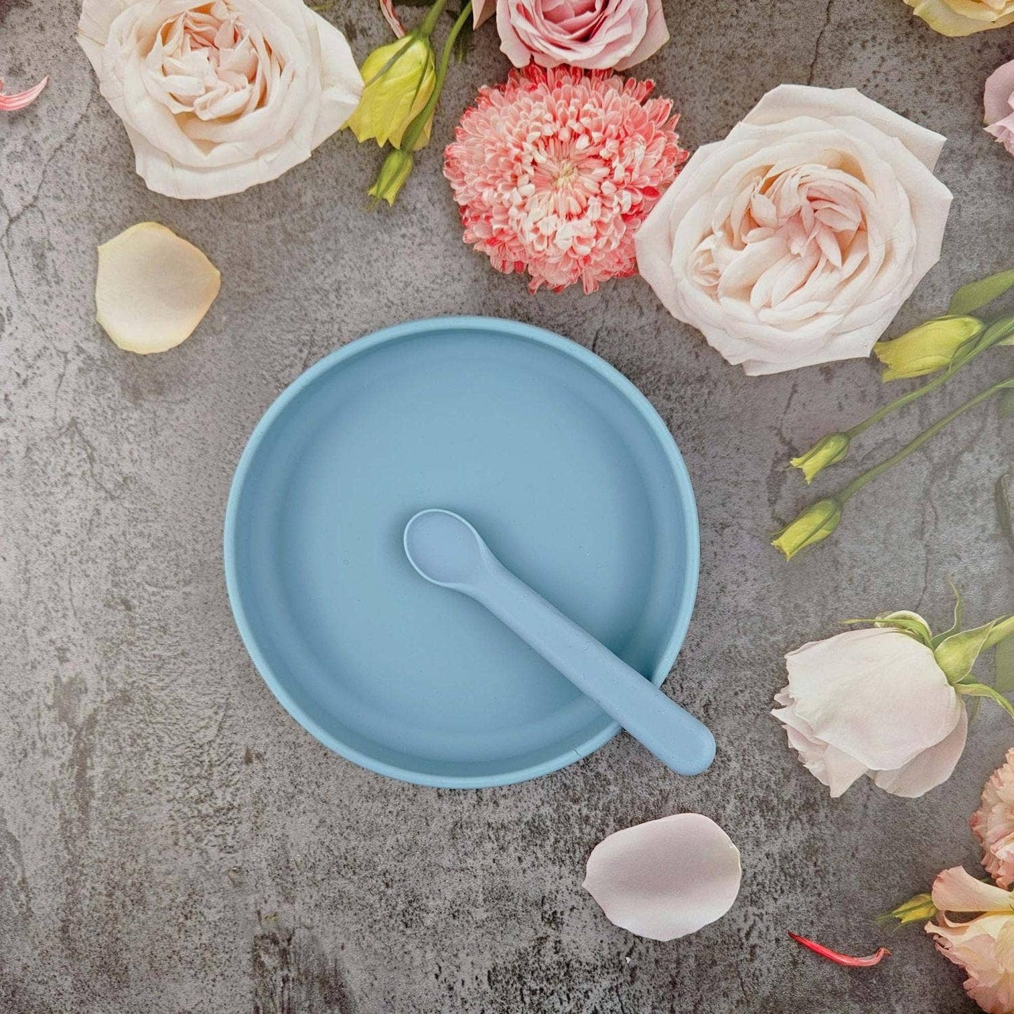 Plate and Spoon Silicone Stone Blue