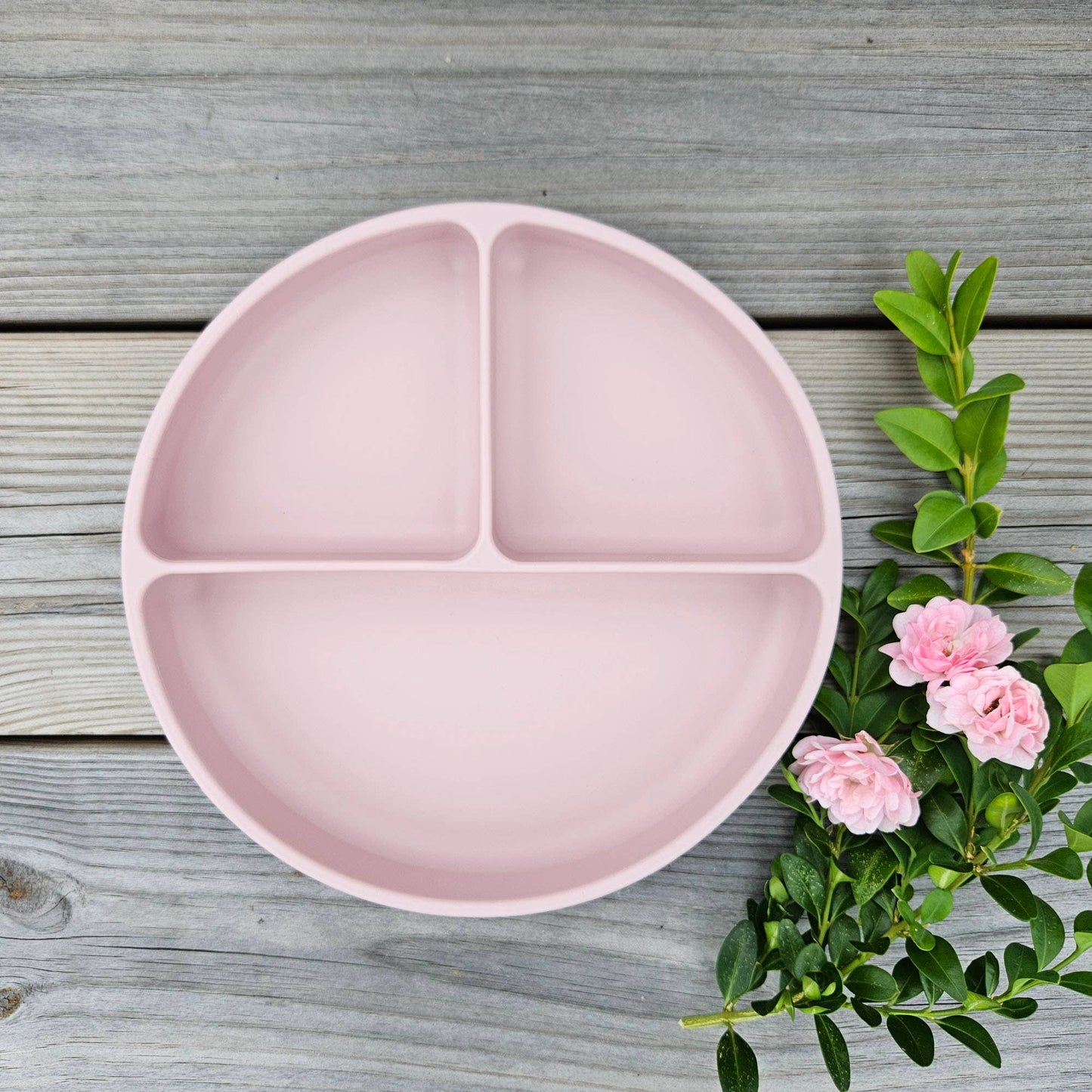 Plate Divided Silicone Pale Mauve