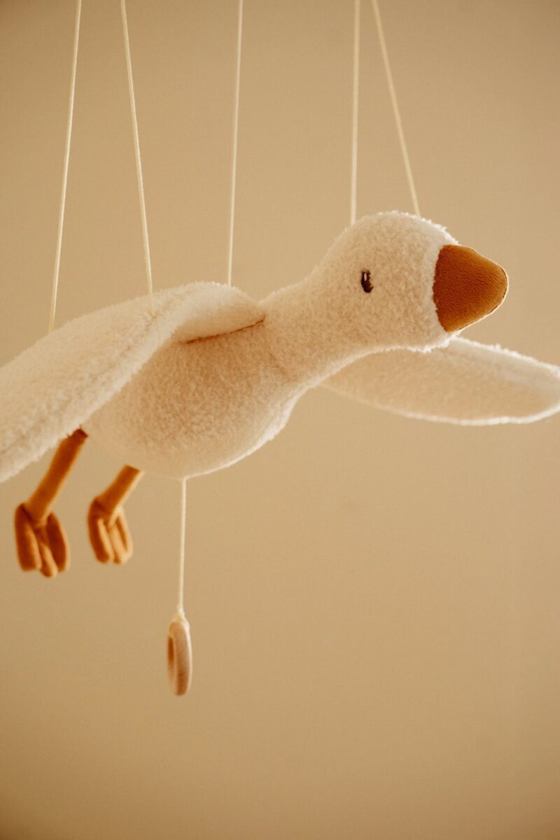 Little Dutch Flying Little Goose Newborn Naturals GRS