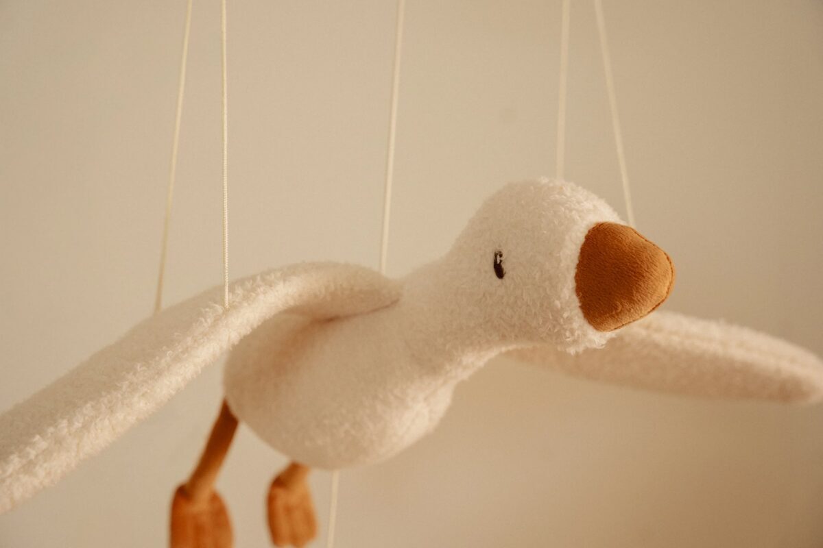 Little Dutch Flying Little Goose Newborn Naturals GRS