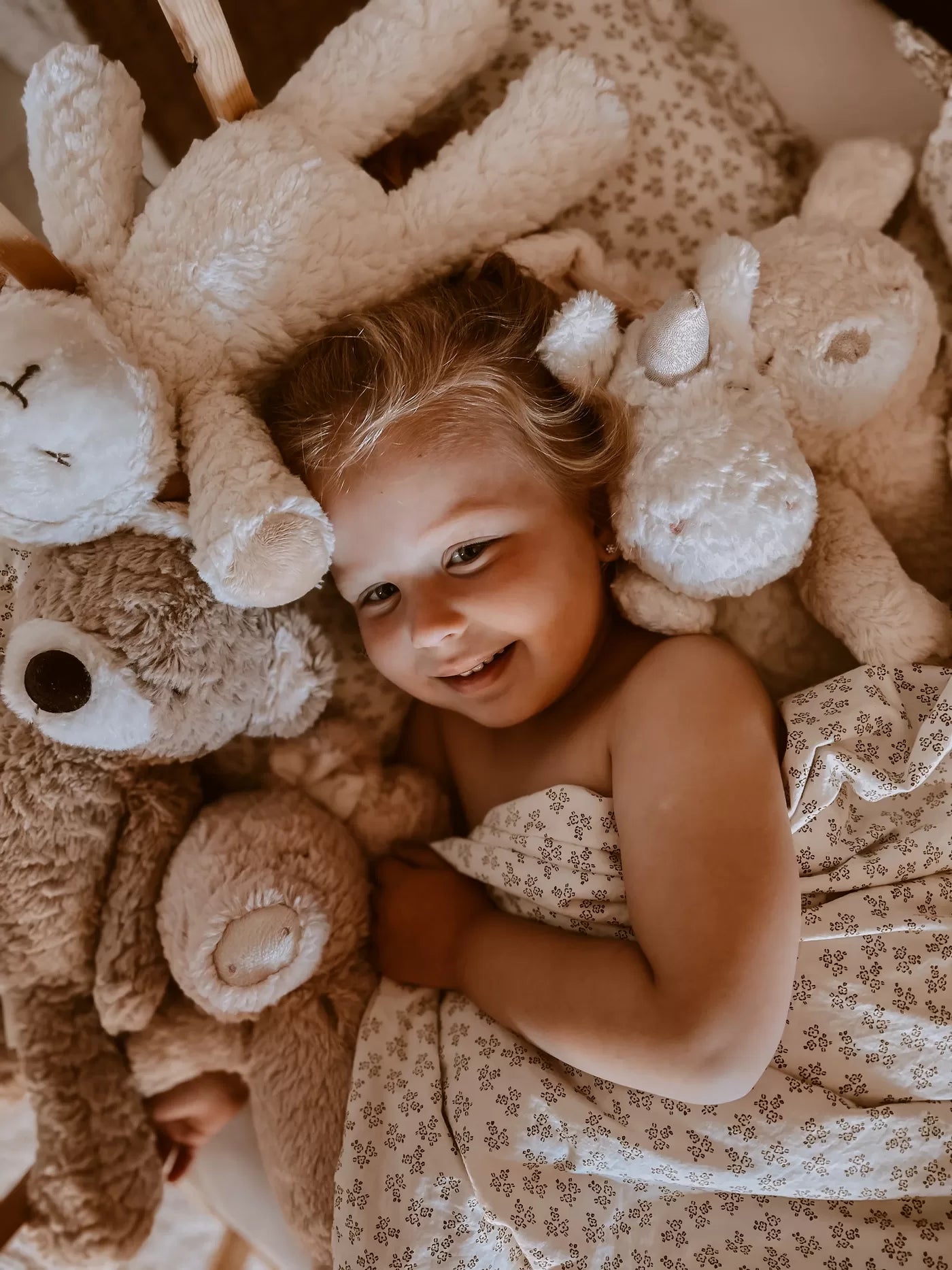 Mrs Ertha Stuffed Animals - Mr. Pyxie - Teddy