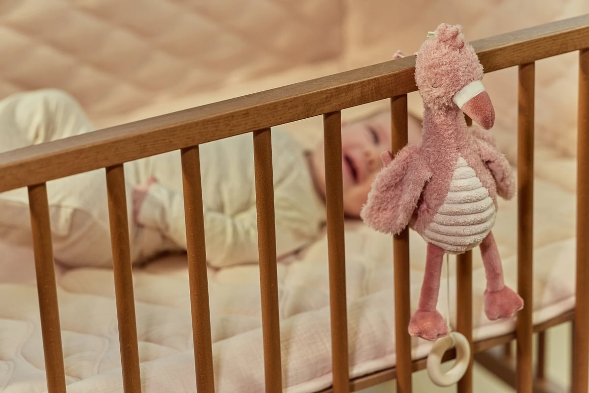 Little Dutch muzikālā rotaļlieta Flamingo “Safari Friends” GRS